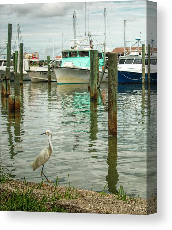 Harbor Canvas Print featuring the photograph Port Orange Habor by Dorothy Cunningham
