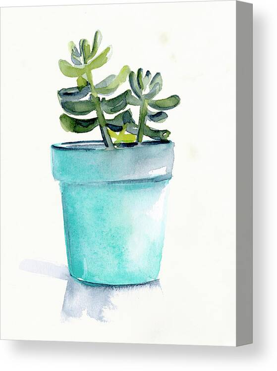 Botanical & Floral Canvas Print featuring the painting Potted Succulent II by Jennifer Paxton Parker