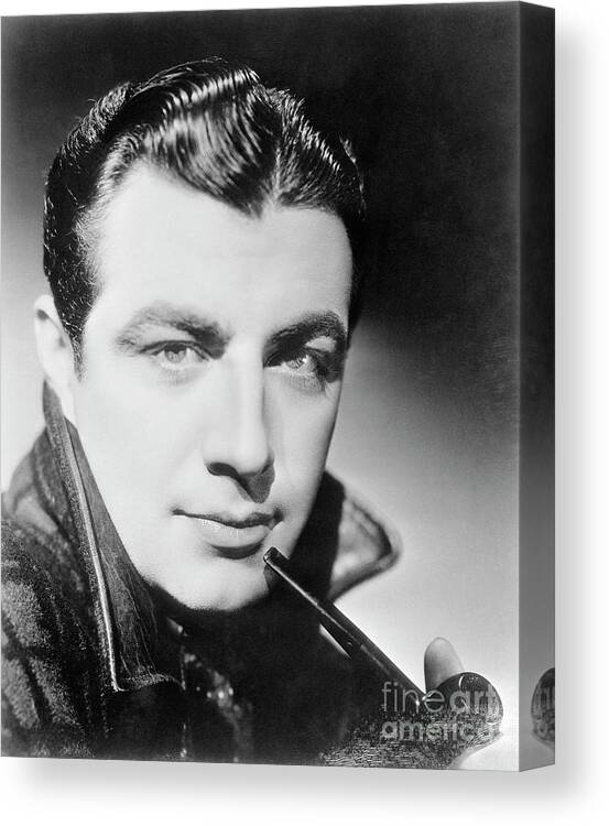 People Canvas Print featuring the photograph Robert Taylor by Bettmann