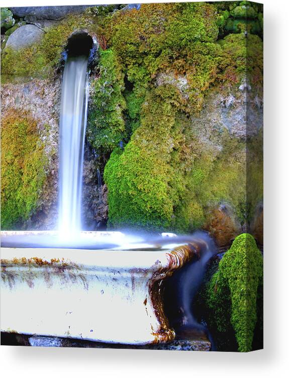 Water Canvas Print featuring the photograph Runoff Tub by Stephen Goodhue