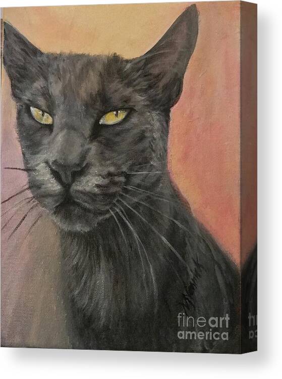 Cat Canvas Print featuring the painting Rusty by M J Venrick
