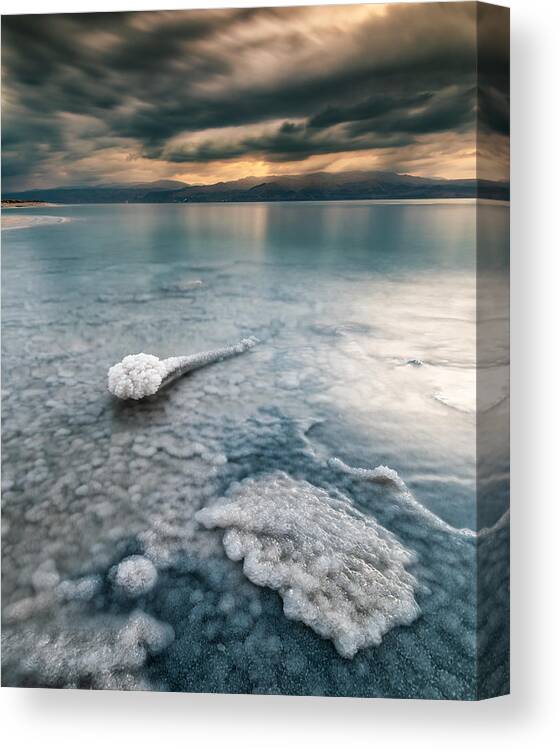 Cloud Canvas Print featuring the photograph Salt Tadpole by Amir Ehrlich