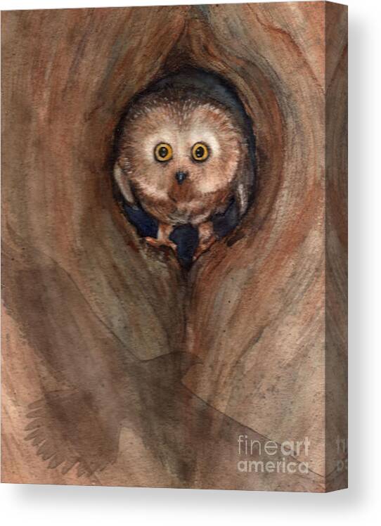 Owl Canvas Print featuring the painting Scardy Owl by Amy Stielstra