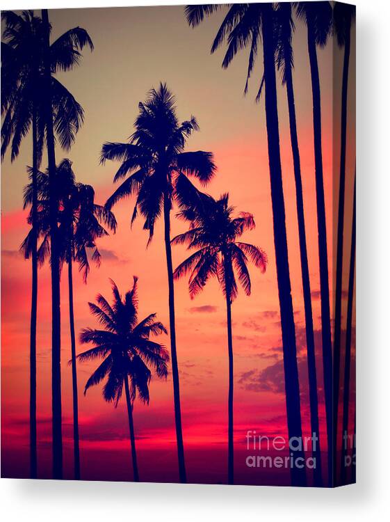 Tone Canvas Print featuring the photograph Silhouette Coconut Palm Tree Outdoors by Rawpixel.com