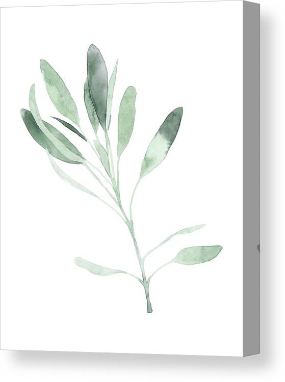 Kitchen & Bath Canvas Print featuring the painting Simple Sage II by Emma Scarvey