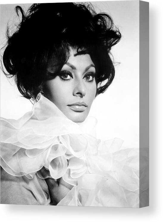 1960s Canvas Print featuring the photograph Sophia Loren In Ruffles by Globe Photos