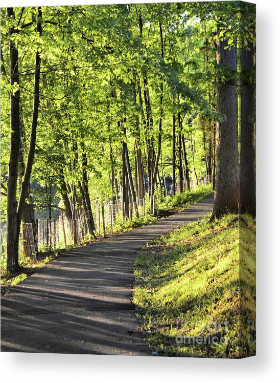 Walking Path Canvas Print featuring the photograph Spring Awakening by Kathy Kelly