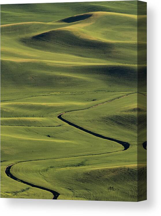 The Palouse Canvas Print featuring the photograph SSSSS at the Palouse by Joe Kopp