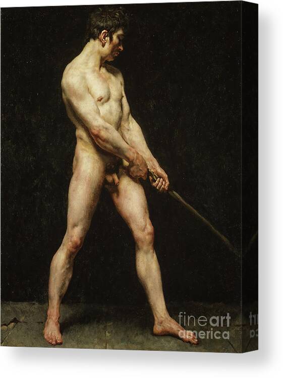 Reproductive Organ Canvas Print featuring the drawing Study Of A Nude Man by Heritage Images