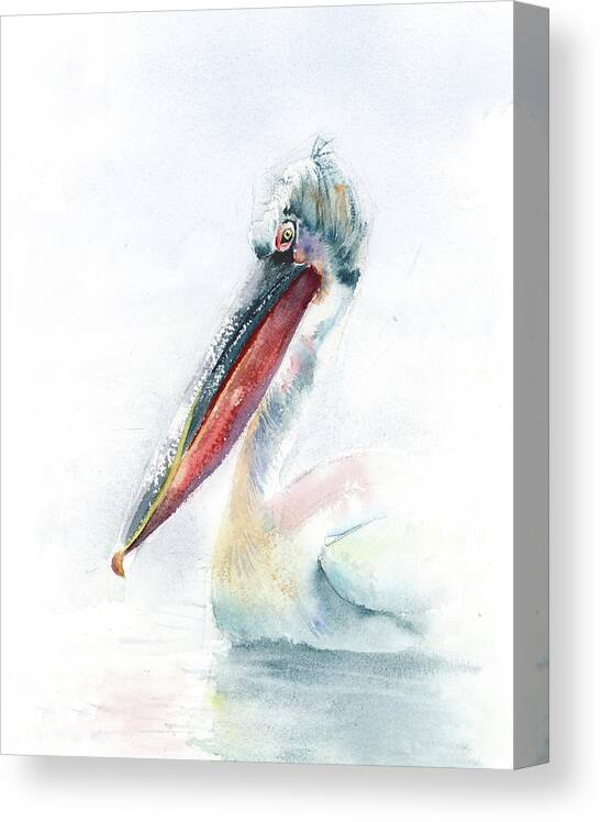 Pelican Canvas Print featuring the painting Swimming pelican by Paintis Passion