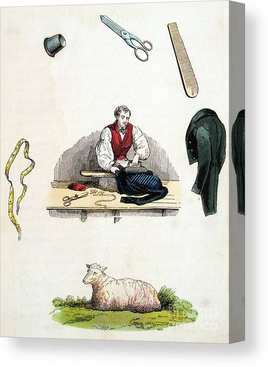 Working Canvas Print featuring the drawing Tailor, C1845 by Print Collector