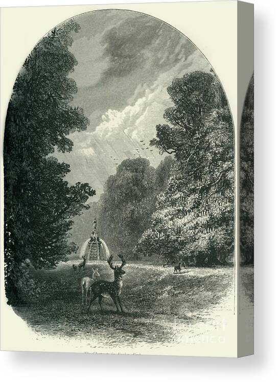 Engraving Canvas Print featuring the drawing The Chestnuts In Bushey Park by Print Collector