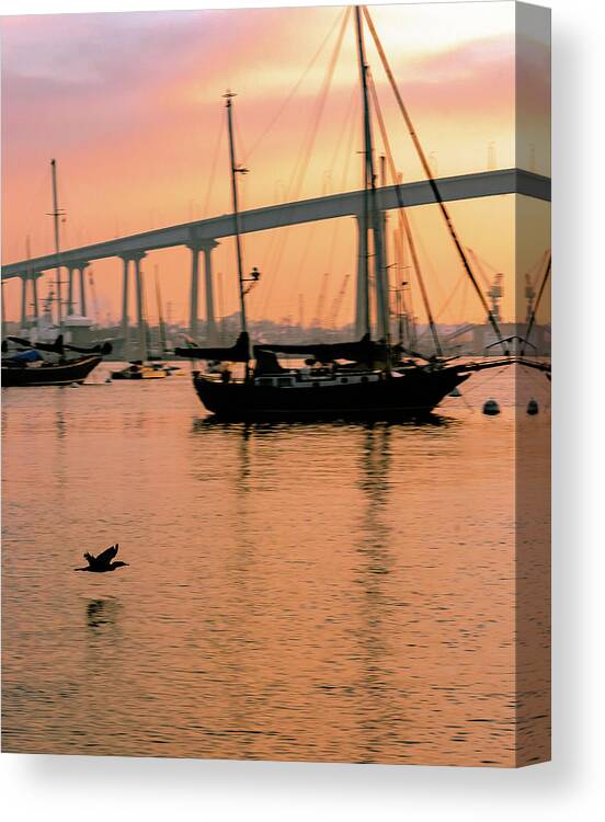 Bird Canvas Print featuring the photograph The Early Bird by Local Snaps Photography