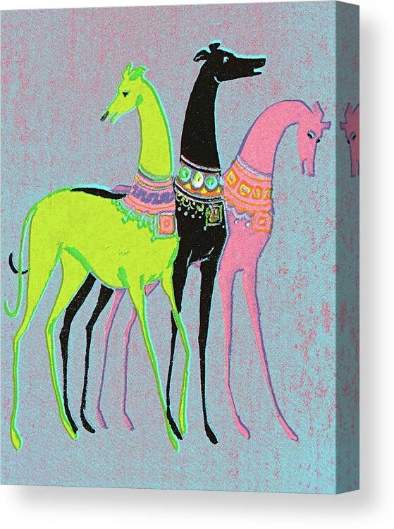 Animal Canvas Print featuring the drawing Three Greyhounds by CSA Images