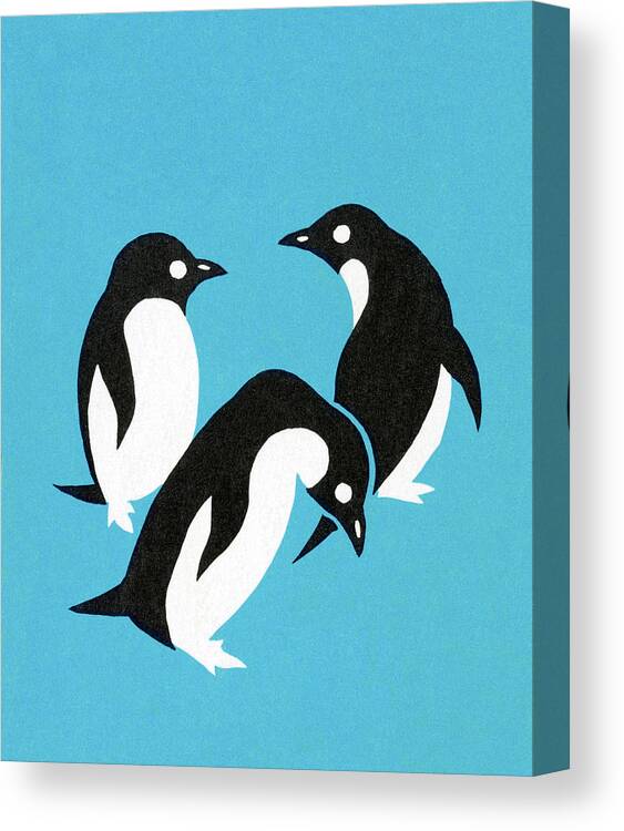 Animal Canvas Print featuring the drawing Three Penguins On Blue Background by CSA Images