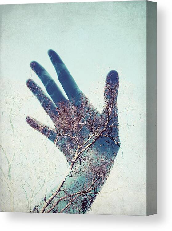 Hand Canvas Print featuring the photograph Touch the Sky by Lupen Grainne