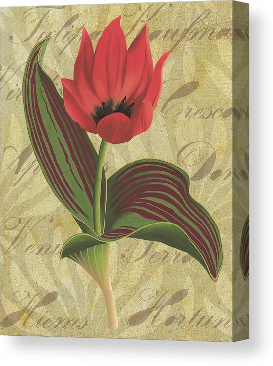 Tulip Canvas Print featuring the painting Tulipa Kaufmanniana Winter by Nikita Coulombe