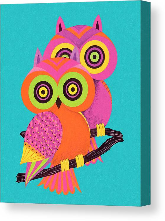 Animal Canvas Print featuring the drawing Two Owls by CSA Images