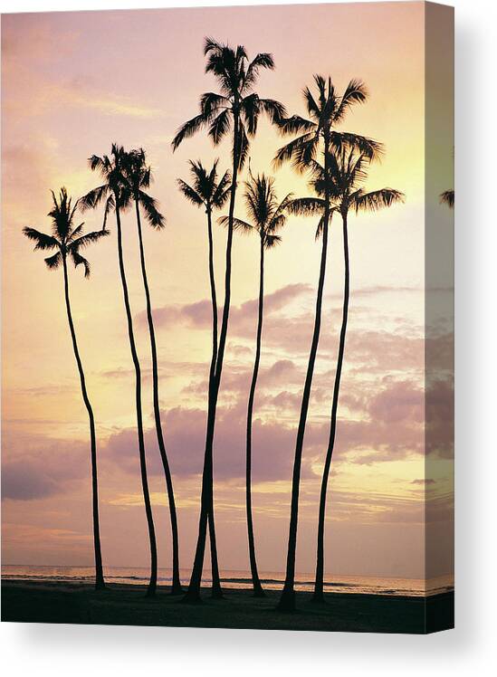 Water's Edge Canvas Print featuring the photograph Waikiki Beach, Oahu, Hawaiian Islands by Digital Vision.
