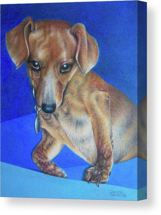 Dog Canvas Print featuring the drawing Wasn't Me by Pamela Clements