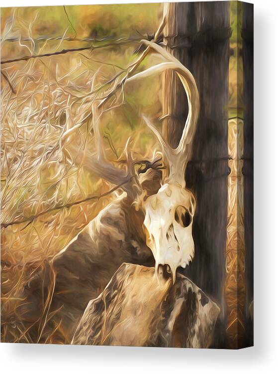 Kansas Canvas Print featuring the photograph White-tail Deer 011 by Rob Graham