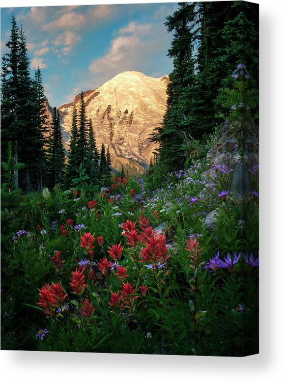 Mount Rainier Canvas Print featuring the photograph Wildflower Morning on Mount Rainier by David Soldano