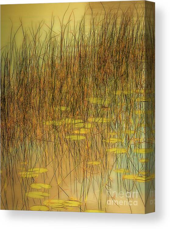  Canvas Print featuring the photograph Willow Song by Hugh Walker