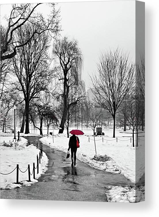 Winter Canvas Print featuring the photograph Winter Walk on a Rainy Day by Lyuba Filatova