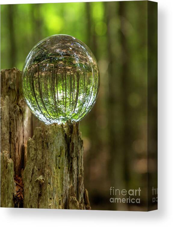 Maine Canvas Print featuring the photograph Wooded Reflections by Karin Pinkham