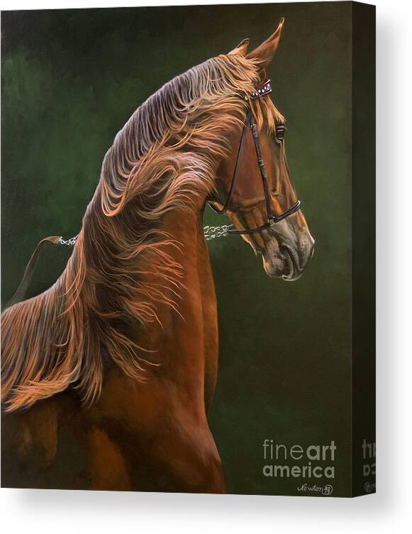 American Saddlebred Canvas Print featuring the painting Yearling Colt by Jeanne Newton Schoborg