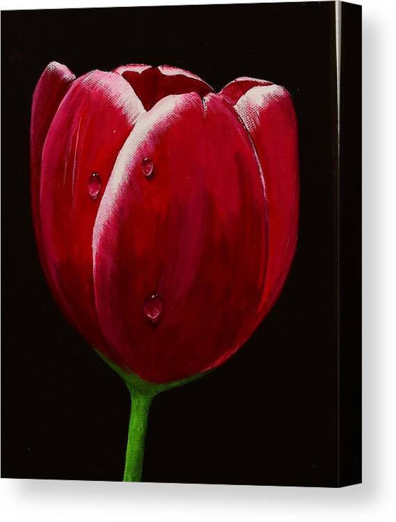 Tulip Canvas Print featuring the painting April Showers #1 by Jimmy Chuck Smith