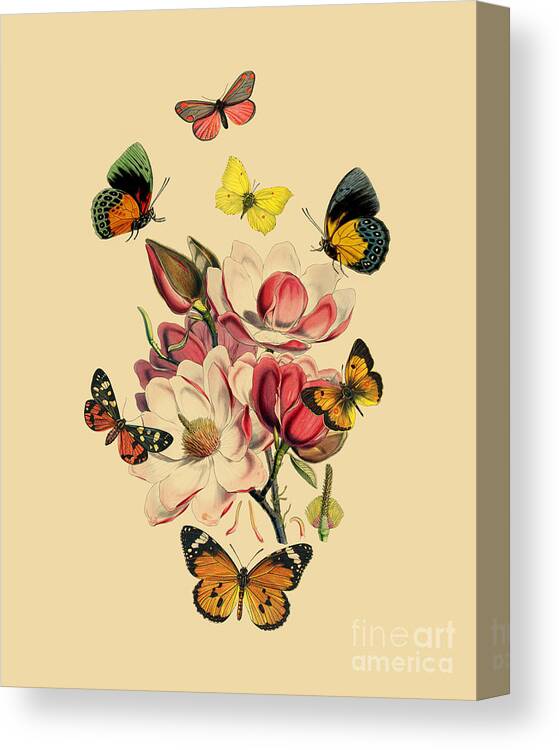 Magnolia Canvas Print featuring the digital art Butterfly Magnolia #1 by Madame Memento