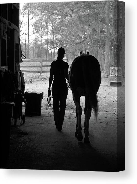 Horses Canvas Print featuring the photograph Day's End by Minnie Gallman