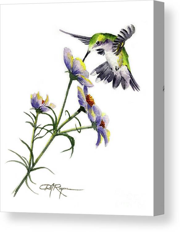 Hummingbird Canvas Print featuring the painting Hummingbird #1 by David Rogers