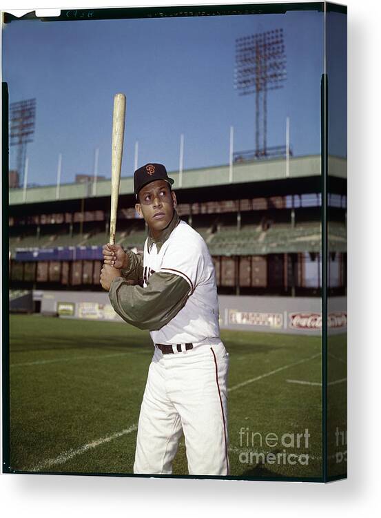 Sports Bat Canvas Print featuring the photograph Orlando Cepeda by Louis Requena