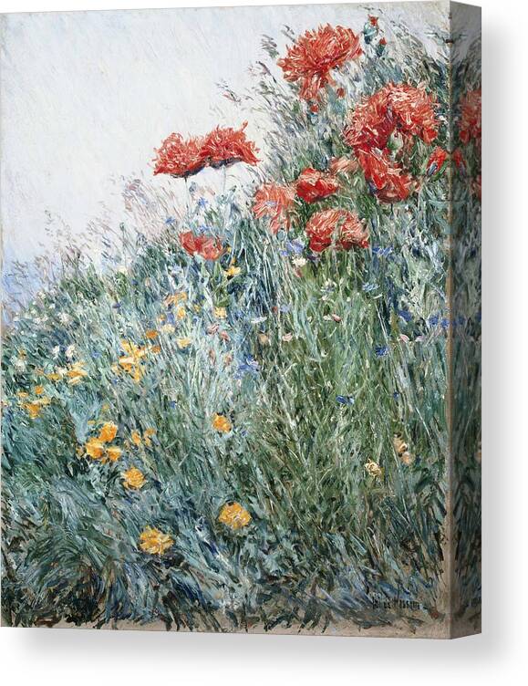 Childe Hassam Canvas Print featuring the painting Poppies Appledore #2 by Childe Hassam