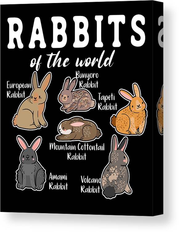 Rabbit Canvas Print featuring the digital art Rabbits Of The World #2 by Toms Tee Store
