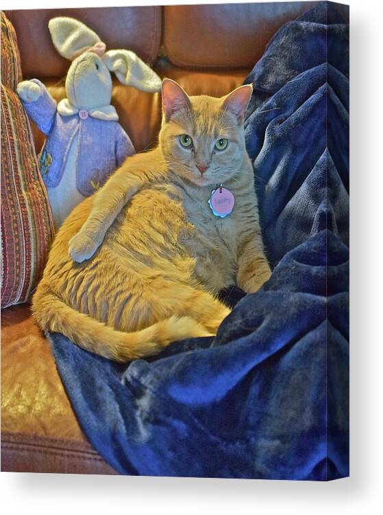 Tabby Cat Canvas Print featuring the photograph 2020 Interrupted by Janis Senungetuk