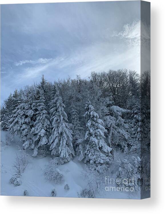  Canvas Print featuring the photograph Winter Wonderland by Annamaria Frost