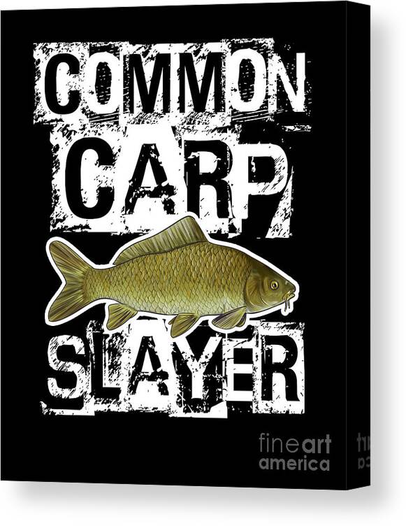 Common Carp Fishing Bait Lure Freshwater Fish Gift #5 Canvas Print / Canvas  Art by Lukas Davis - Pixels Canvas Prints