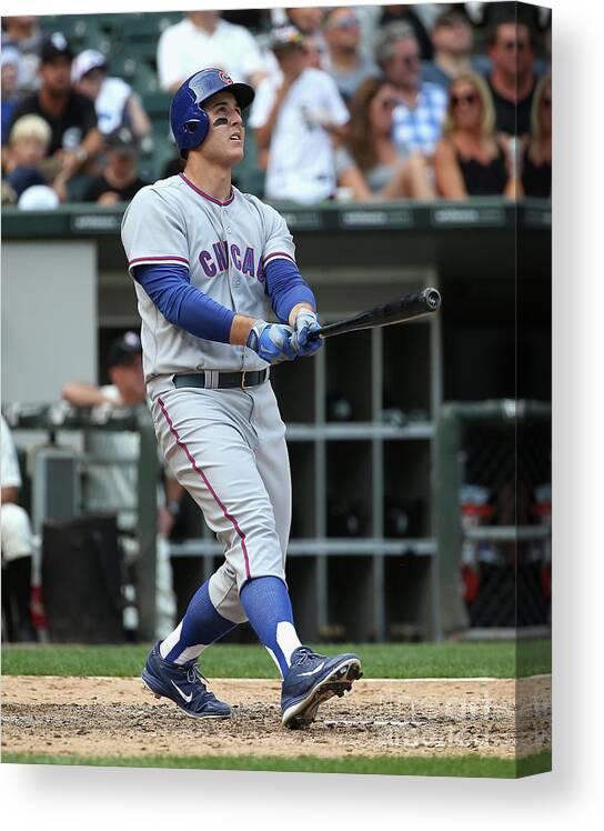 Following Canvas Print featuring the photograph Anthony Rizzo by Jonathan Daniel