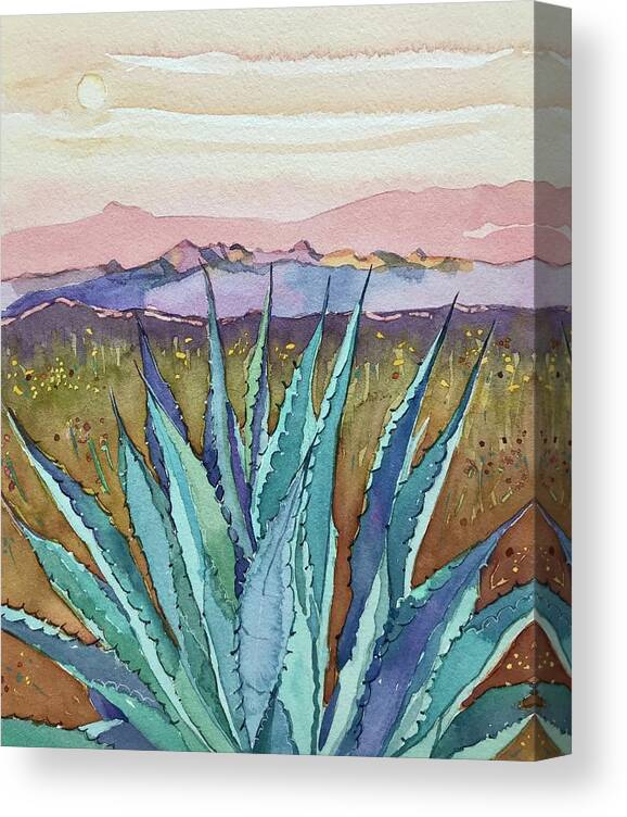 Agave Canvas Print featuring the photograph Agave Sunset by Luisa Millicent