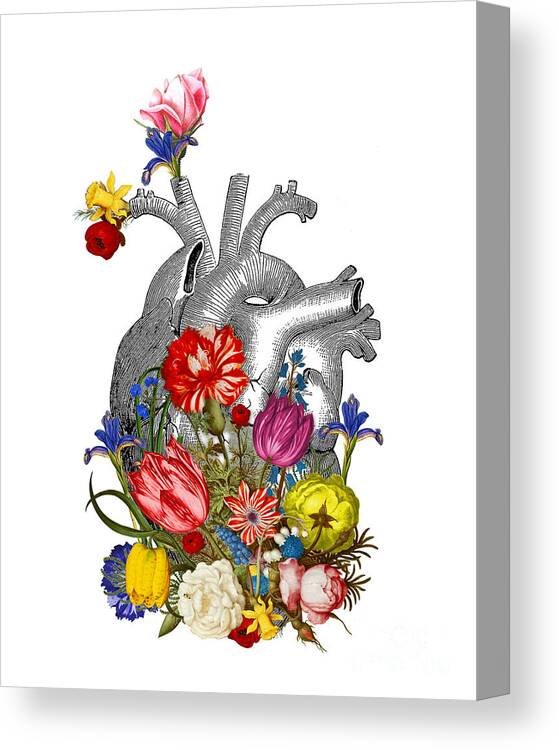 Heart Canvas Print featuring the digital art Anatomical Heart With Colorful Flowers by Madame Memento