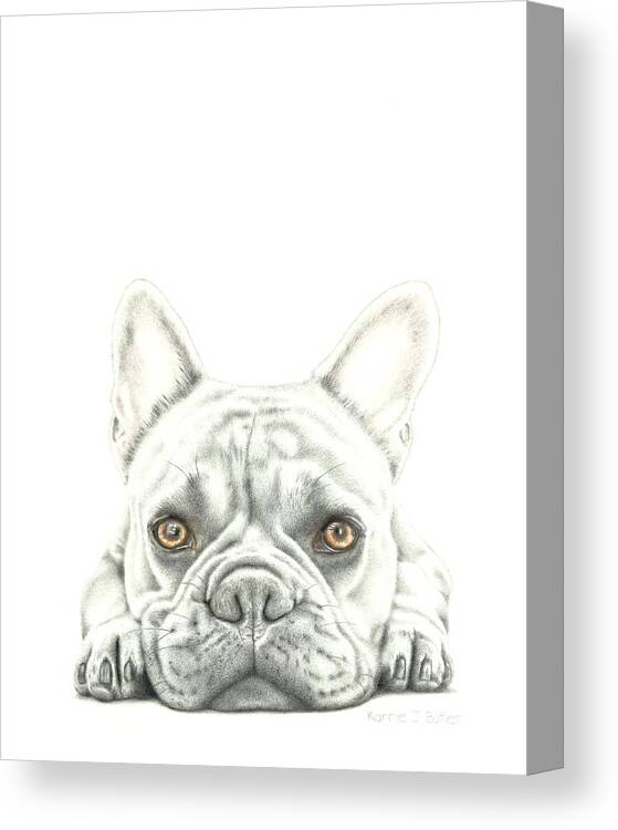 Bulldog Canvas Print featuring the drawing Another Monday by Karrie J Butler