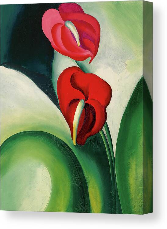 Georgia O'keeffe Canvas Print featuring the painting Anthurium, flamingo flower - modernist plant painting by Georgia O'Keeffe