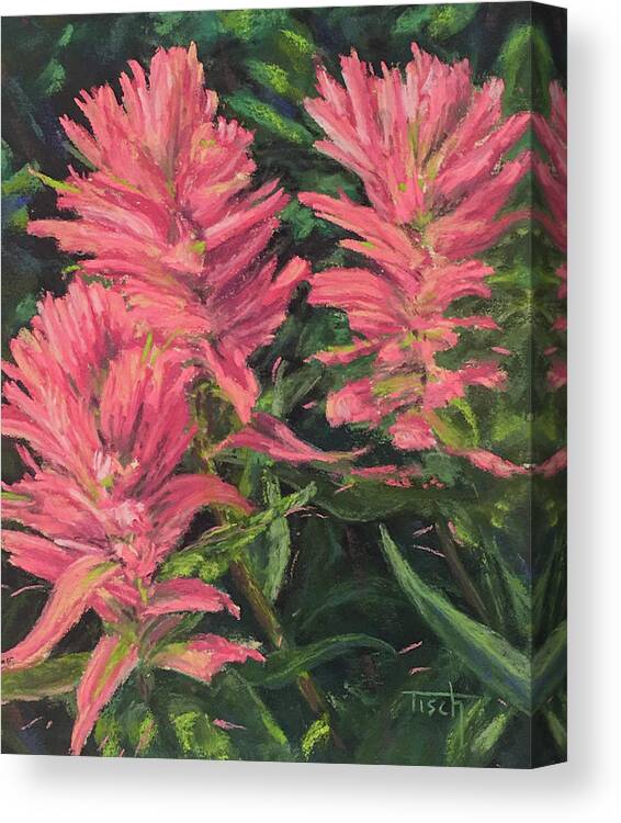 Flowers Wildflowers Canvas Print featuring the pastel Apacuni Paintbrush by Lee Tisch Bialczak
