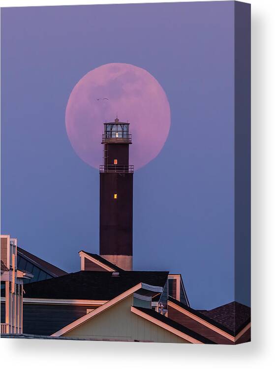 Fullmoon Canvas Print featuring the photograph April Pink Supermoon by Nick Noble