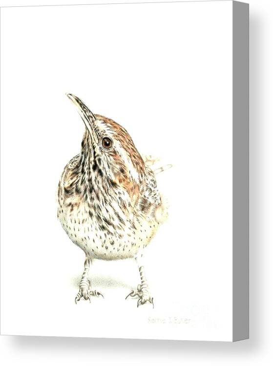 Arizona Canvas Print featuring the drawing Arizona State Bird by Karrie J Butler