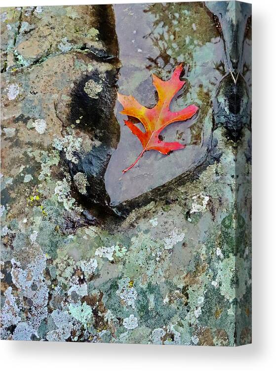 Autumn Canvas Print featuring the photograph Autumn Colors by Sarah Lilja