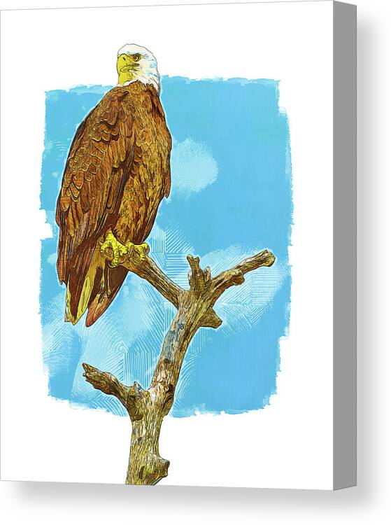 Myeress Canvas Print featuring the photograph Bald Eagle painted effect by Joe Myeress